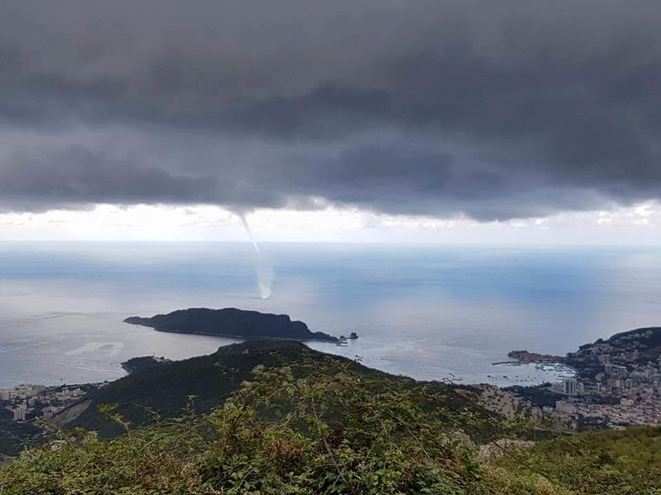 „Pijavice“ haraju obalama Budve (FOTO) „Pijavice“ haraju obalama Budve (FOTO)
