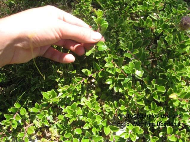 Crna Gora ima najveće bogatstvo u Evropi, ali Crnogorci ne mare za to... Crna Gora ima najveće bogatstvo u Evropi, ali Crnogorci ne mare za to...