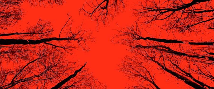 Tri nova filma na repertoaru Cineplexx-a! Tri nova filma na repertoaru Cineplexx-a!