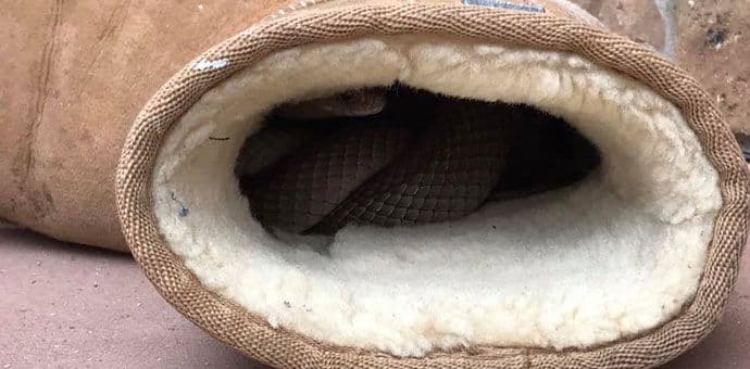 Krenula je da obuje čizme: Pukom srećom je ostala živa Krenula je da obuje čizme: Pukom srećom je ostala živa