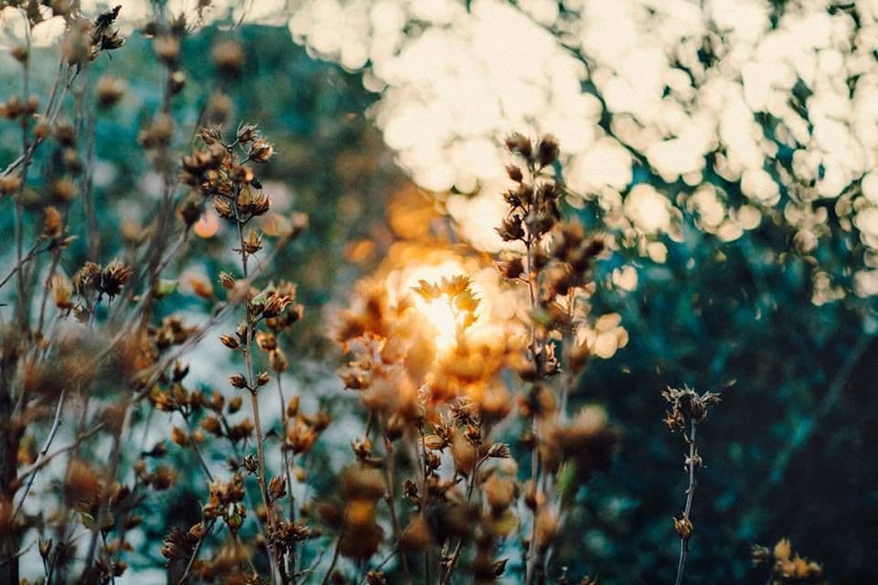 Nedjeljni bioritam (15. oktobar - 21. oktobar) Nedjeljni bioritam (15. oktobar - 21. oktobar)