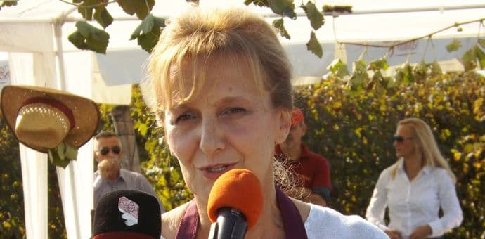 Maraš: Berba u izuzetnom obimu i kvalitetu Maraš: Berba u izuzetnom obimu i kvalitetu