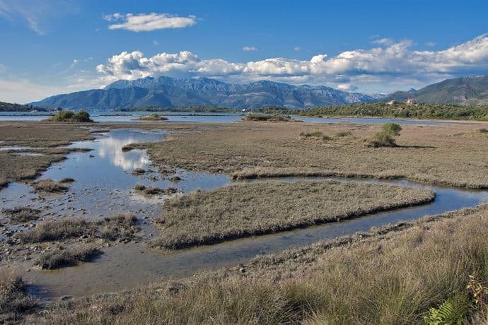 Ivanović: Dugoročno u planu i proizvodnja soli Ivanović: Dugoročno u planu i proizvodnja soli