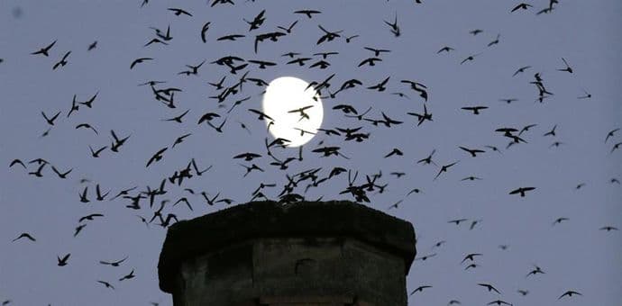 Rijetka pojava: Crni mjesec u petak Rijetka pojava: Crni mjesec u petak