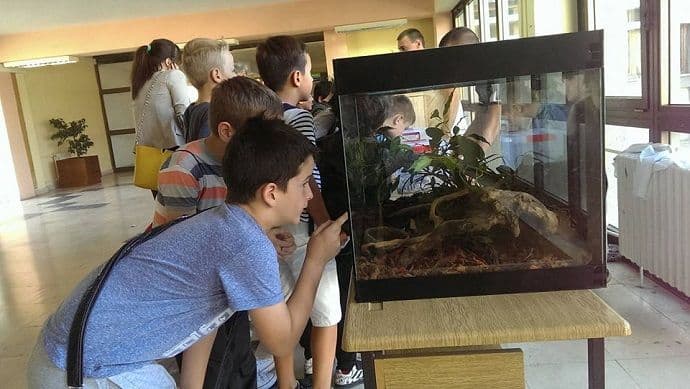 Podgorica: Osam zmija na fakultetu!(FOTO) Podgorica: Osam zmija na fakultetu!(FOTO)