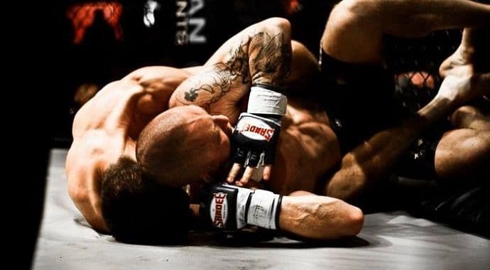 Sedam pobjeda za podgorički MMA klub Bušido Sedam pobjeda za podgorički MMA klub Bušido