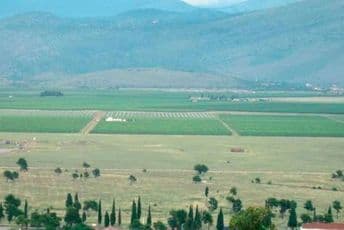 Sljedeće godine gradnja centralnog parka na Ćemovskom polju Sljedeće godine gradnja centralnog parka na Ćemovskom polju