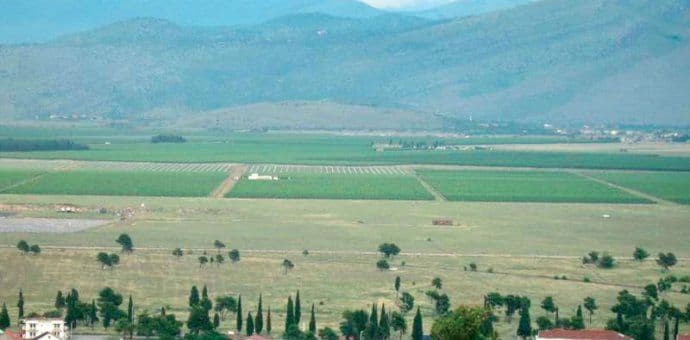 Ćemovsko polje: Pronađen leš mladića Ćemovsko polje: Pronađen leš mladića