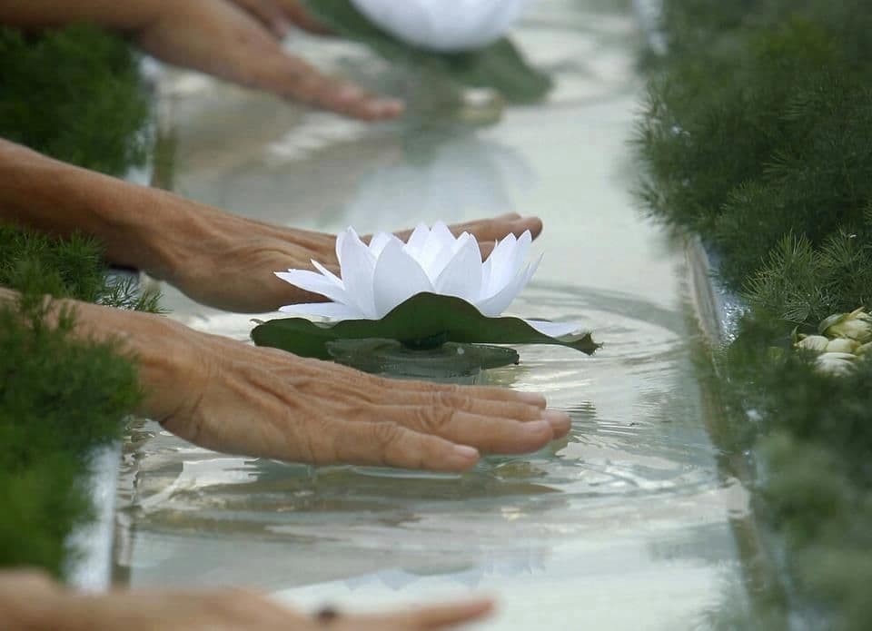 Đotiš nedjeljni bioritam (10. oktobar - 16. oktobar) Đotiš nedjeljni bioritam (10. oktobar - 16. oktobar)