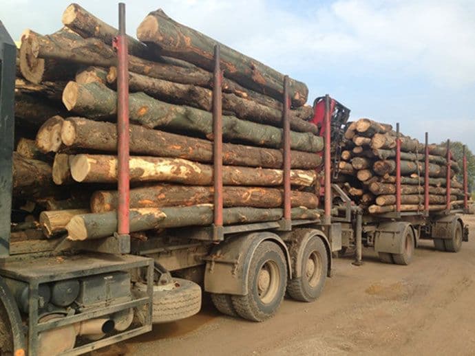 Fetić: Zaustavićemo kolone kamiona sa trupcima Fetić: Zaustavićemo kolone kamiona sa trupcima