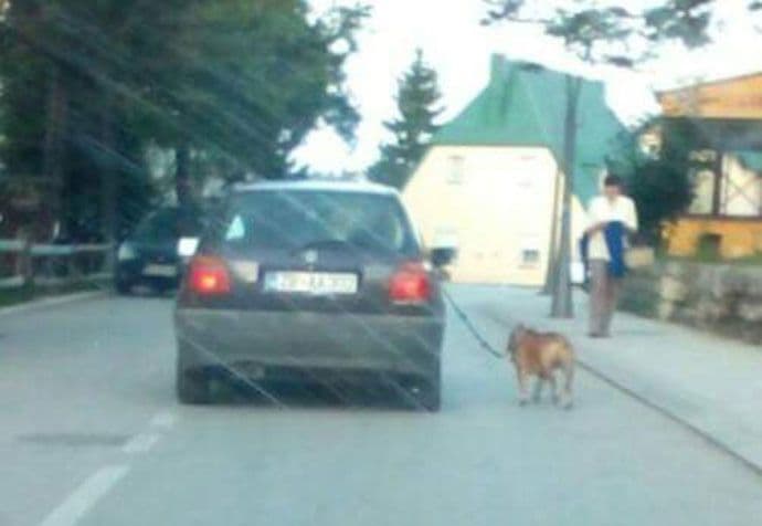 Kad Žabljačanin šeta psa Kad Žabljačanin šeta psa