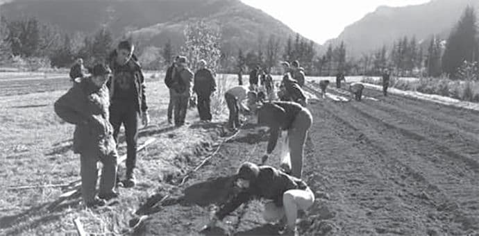 KOLAŠIN: Prva plantaža za proizvodnju rijetke i zaštićene biljke KOLAŠIN: Prva plantaža za proizvodnju rijetke i zaštićene biljke