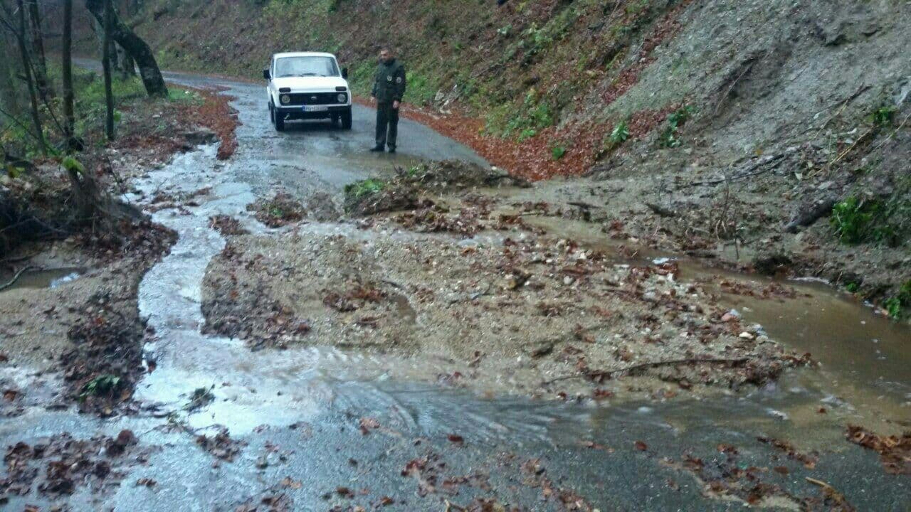 Zbog nevremena: Zatvoren NP "Biogradska gora" Zbog nevremena: Zatvoren NP "Biogradska gora"