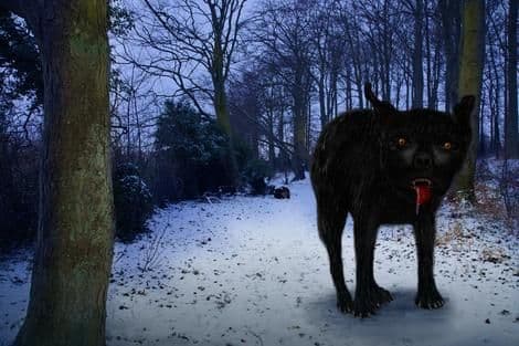 Da li ste čuli za engleskog "psa iz pakla"? Da li ste čuli za engleskog "psa iz pakla"?