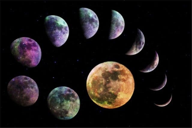 Đotiš nedjeljni bioritam (14. novembar - 20. novembar) Đotiš nedjeljni bioritam (14. novembar - 20. novembar)