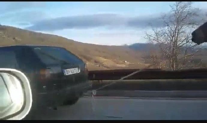 VIDEO: Dva konja vukao automobilom VIDEO: Dva konja vukao automobilom