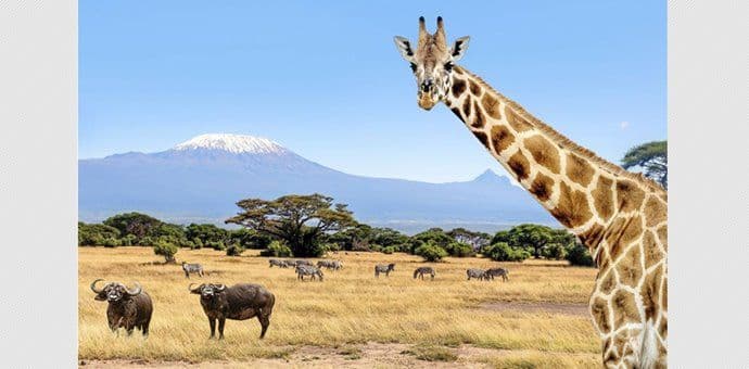 Fotografije Darka Vrcana u Ljetnjikovcu "Buća" Fotografije Darka Vrcana u Ljetnjikovcu "Buća"