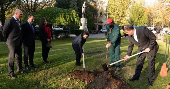 Japanske trešnje simbol prijateljstva građana Podgorice i naroda Japana Japanske trešnje simbol prijateljstva građana Podgorice i naroda Japana