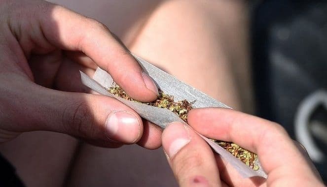 Novi Zeland zakazao referendum o legalizaciji kanabisa Novi Zeland zakazao referendum o legalizaciji kanabisa
