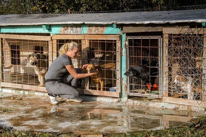 Pričelje: "Mali raj" za napuštene životinje Pričelje: "Mali raj" za napuštene životinje