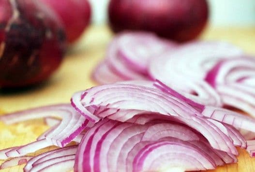 Fondacija Slow food: Crmnički luk u riznici ukusa Fondacija Slow food: Crmnički luk u riznici ukusa