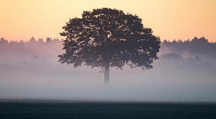 Fotograf zabilježio jedan od najrjeđih prizora na svijetu Fotograf zabilježio jedan od najrjeđih prizora na svijetu