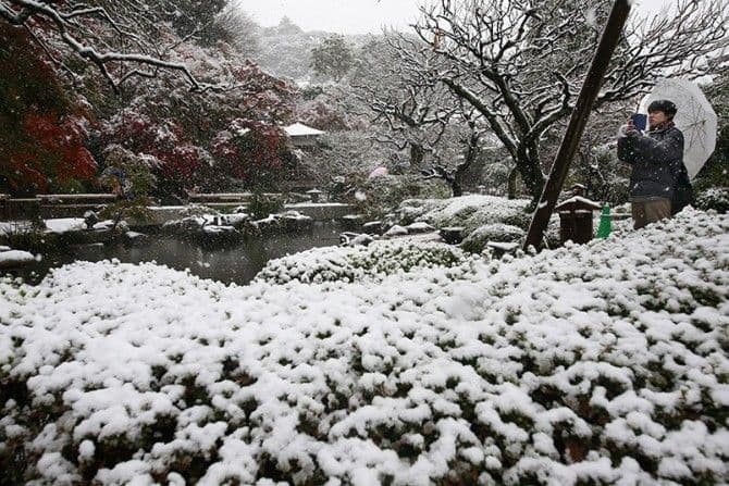 Prvi novembarski snijeg u Tokiju nakon 54 godine! Prvi novembarski snijeg u Tokiju nakon 54 godine!