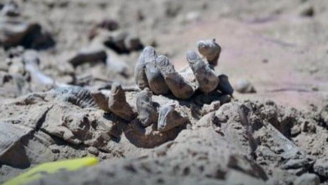 Krvavi narko obračuni: U tajnim grobnicama pronađeno 32 tijela i devet ljudskih glava Krvavi narko obračuni: U tajnim grobnicama pronađeno 32 tijela i devet ljudskih glava