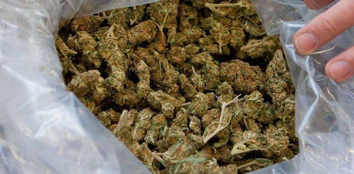 Zaplijenjeno 19 kg skanka, tri osobe uhapšene Zaplijenjeno 19 kg skanka, tri osobe uhapšene