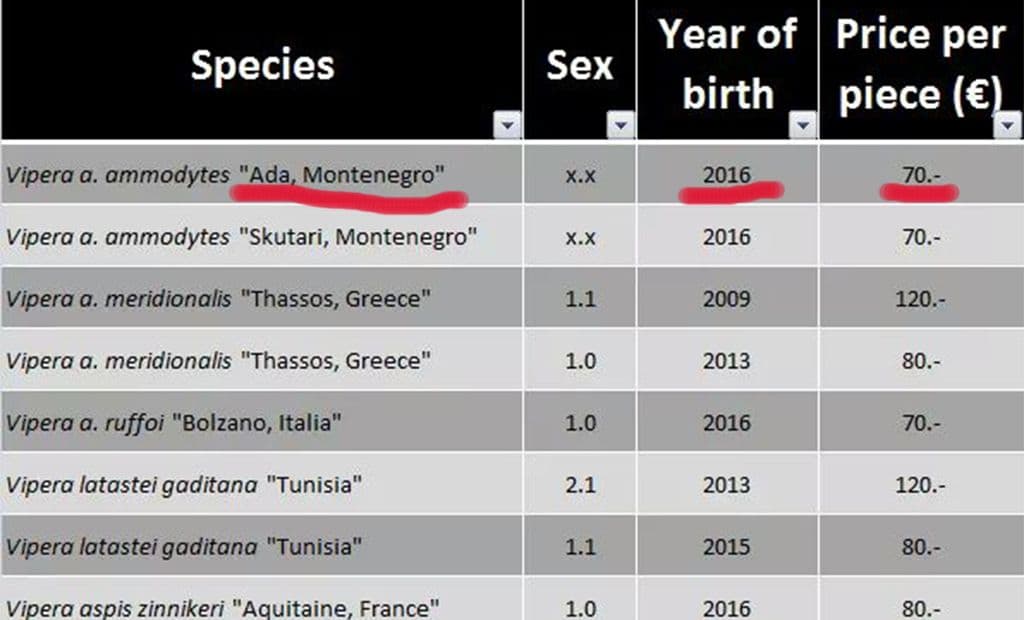 ZAGORA: Crnogorske zmije se nelegalno prodaju preko interneta ZAGORA: Crnogorske zmije se nelegalno prodaju preko interneta
