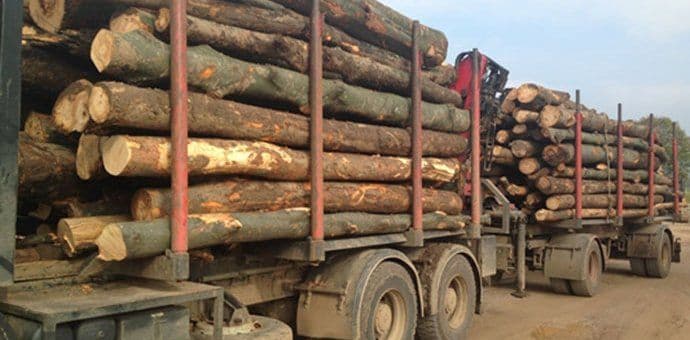Nova vlada će zabraniti izvoz drvne sirovine i ukinuti koncesije? Nova vlada će zabraniti izvoz drvne sirovine i ukinuti koncesije?