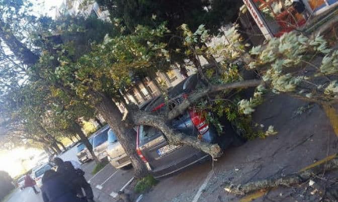 Podgorica: Olujni vjetar obara drveće i saobraćajne znakove Podgorica: Olujni vjetar obara drveće i saobraćajne znakove