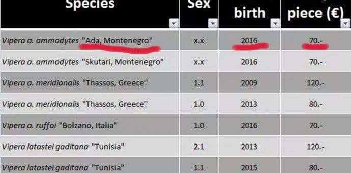Poskoci sa Ade se nelegalno prodaju preko interneta (Foto) Poskoci sa Ade se nelegalno prodaju preko interneta (Foto)