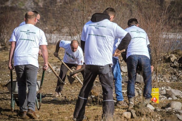 Klaster Berane organizovao pošumljavanje bijelim brezama Klaster Berane organizovao pošumljavanje bijelim brezama