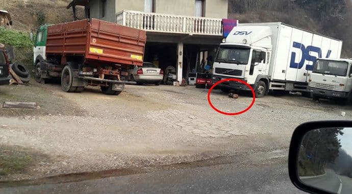 Ribarevine: Pas umire zavezan za kamion, leži na hladnom betonu Ribarevine: Pas umire zavezan za kamion, leži na hladnom betonu