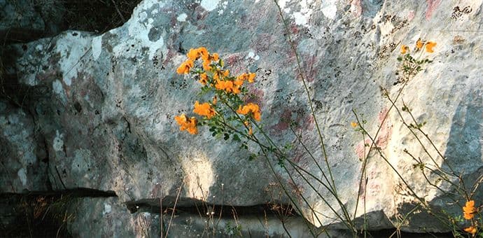 Fotografije Dušana Ičevića u KIC-u Fotografije Dušana Ičevića u KIC-u