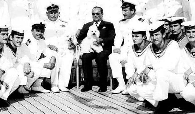 Tito i psi: Od Luksa do Džimija Tito i psi: Od Luksa do Džimija