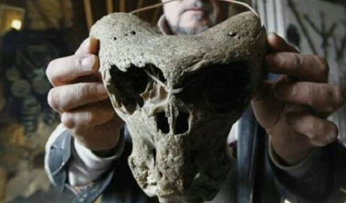 U Rusiji pronađen nacistički kovčeg s lobanjama "nepoznatih bića"! U Rusiji pronađen nacistički kovčeg s lobanjama "nepoznatih bića"!