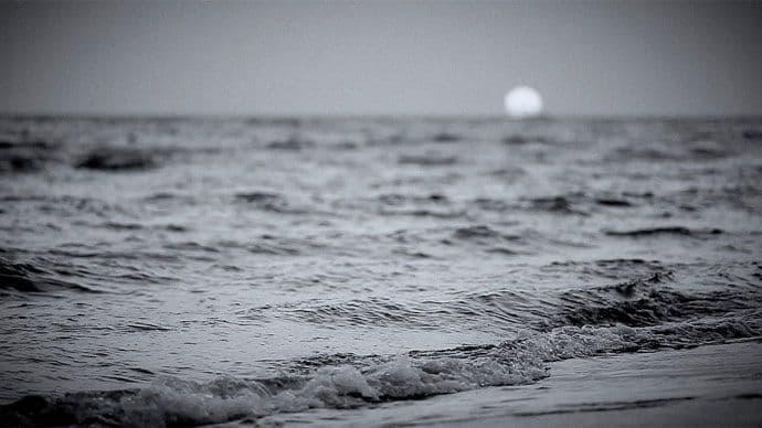 "St Bojana 2016 - ljubav" "St Bojana 2016 - ljubav"