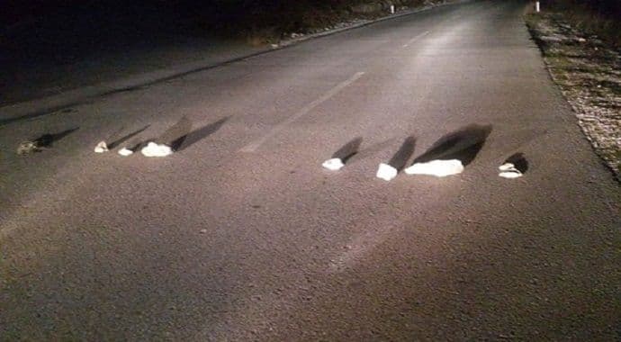 Do Ostroga uz opasnost od prevrtanja Do Ostroga uz opasnost od prevrtanja