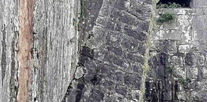 Kotor: Nakon sanacije, bedeme da čuva preduzeće Kotor: Nakon sanacije, bedeme da čuva preduzeće