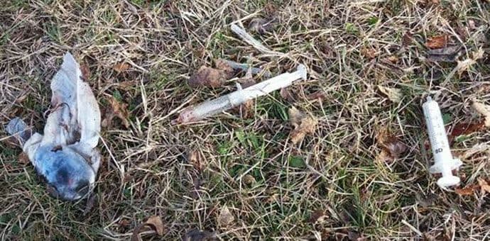 Nikšić: Narkomanski pribor u dvorištu osnovne škole Nikšić: Narkomanski pribor u dvorištu osnovne škole