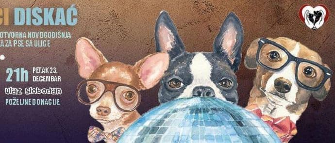 Prva humanitarna žurka za bezdomne pse u Nikšiću Prva humanitarna žurka za bezdomne pse u Nikšiću