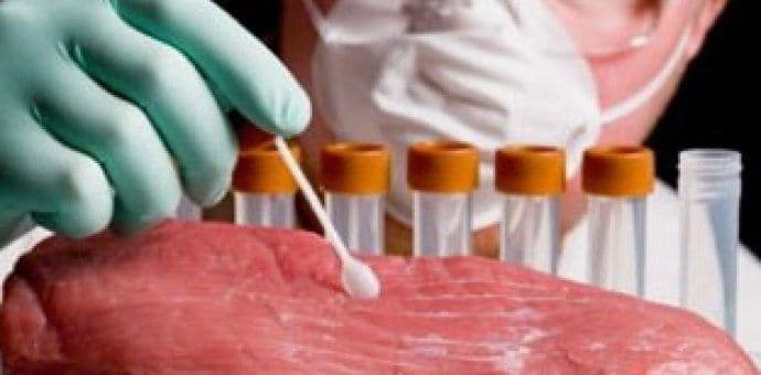 Postoji rizik od prenosa virusa na domaću živinu Postoji rizik od prenosa virusa na domaću živinu