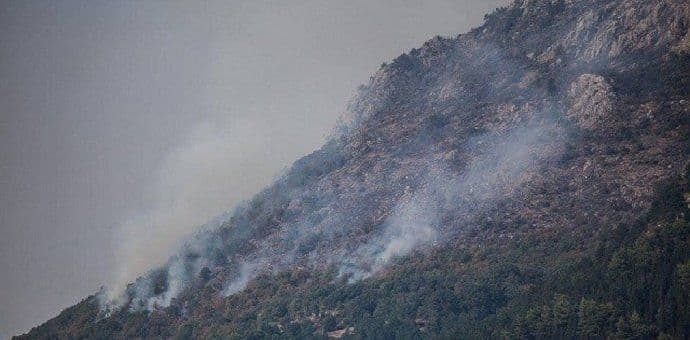 Požari u crnogorskim šumama sve češći i u zimskim mjesecima Požari u crnogorskim šumama sve češći i u zimskim mjesecima