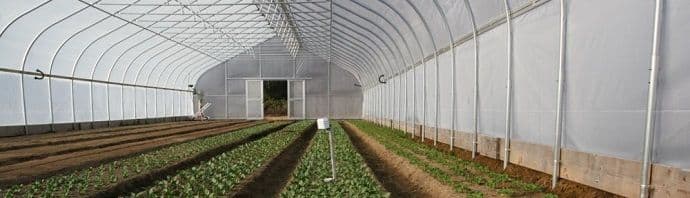 Ministarstvo poljoprivrede: Evo kako da se zaštiti rod od vremenskih nepogoda Ministarstvo poljoprivrede: Evo kako da se zaštiti rod od vremenskih nepogoda