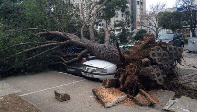 Vjetar čupao drveća u Baru, tokom noći iz snijega spašeno nekoliko osoba Vjetar čupao drveća u Baru, tokom noći iz snijega spašeno nekoliko osoba