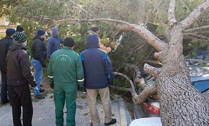 Bar: Uklanjanjem stabala, počelo čišćenje grada nakon bure Bar: Uklanjanjem stabala, počelo čišćenje grada nakon bure