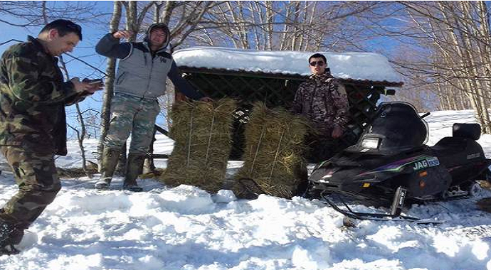 Prihrana divljači u nikšićkom lovištu Prihrana divljači u nikšićkom lovištu
