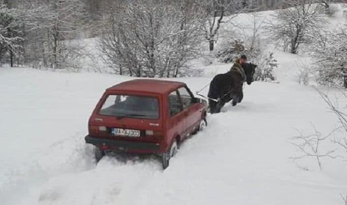 Ništa bez konjčeta Ništa bez konjčeta